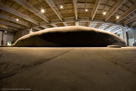 Whale